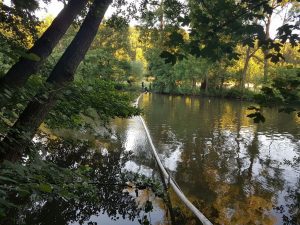 tn_IMG-20160623-WA0001