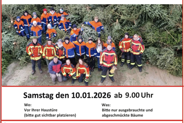 Wir holen Ihren Baum!