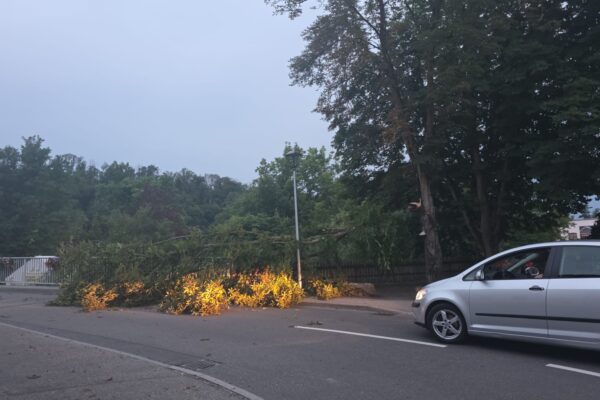 19.06.2026 – H0 Ast/Baum gefallen Verkehrsweg