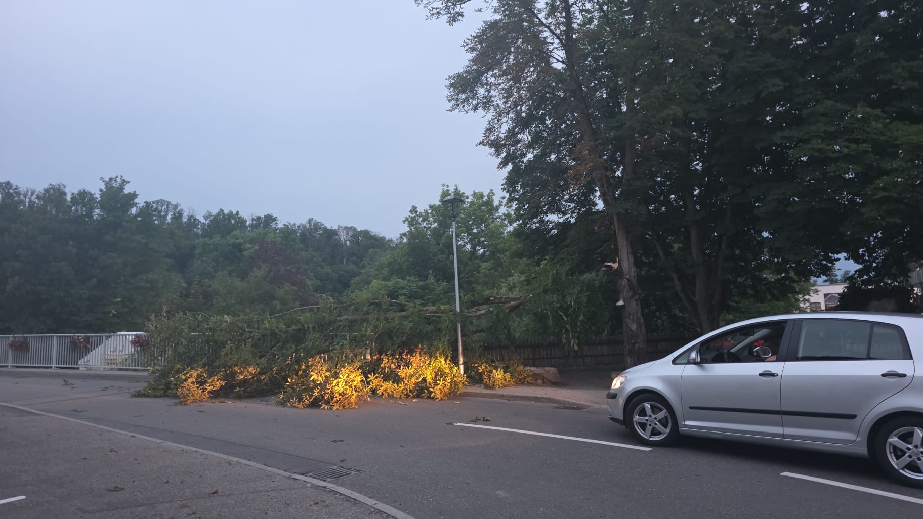 19.06.2026 – H0 Ast/Baum gefallen Verkehrsweg