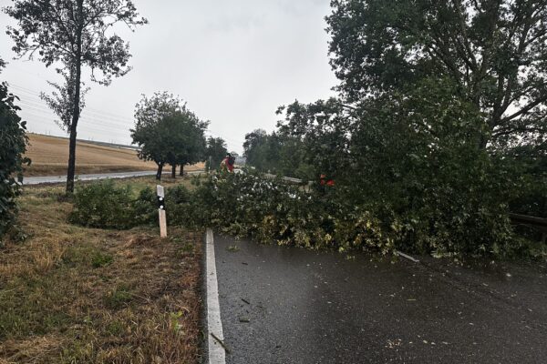 16.07.2026 – H0 Ast/Baum gefallen