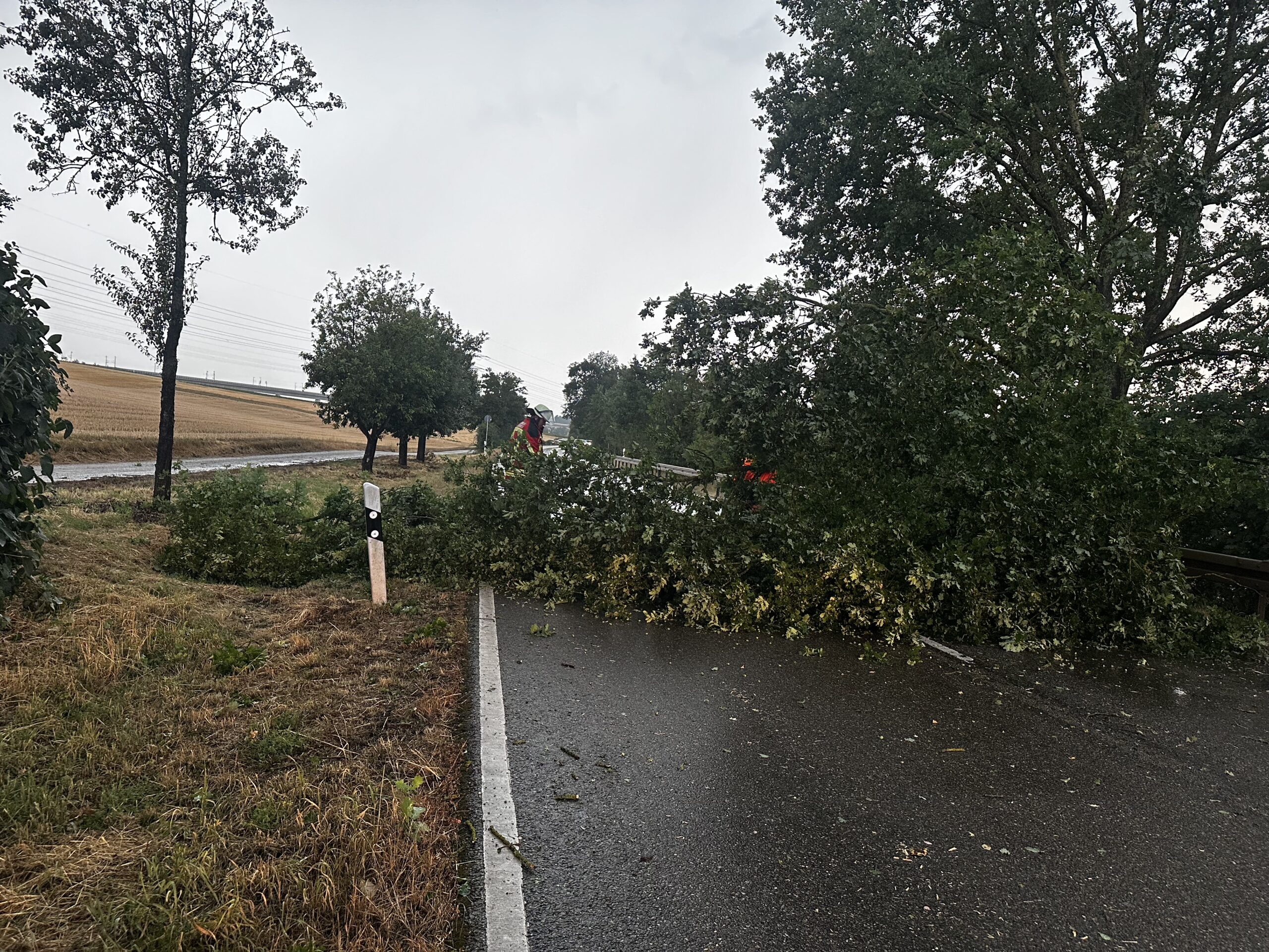 16.07.2026 – H0 Ast/Baum gefallen
