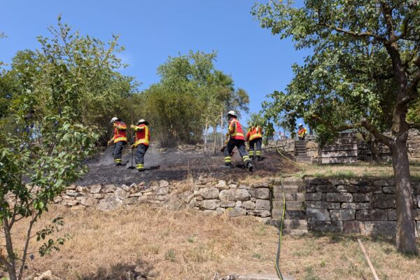09.08.2026 – B2 Feuer/Rauch Wiese