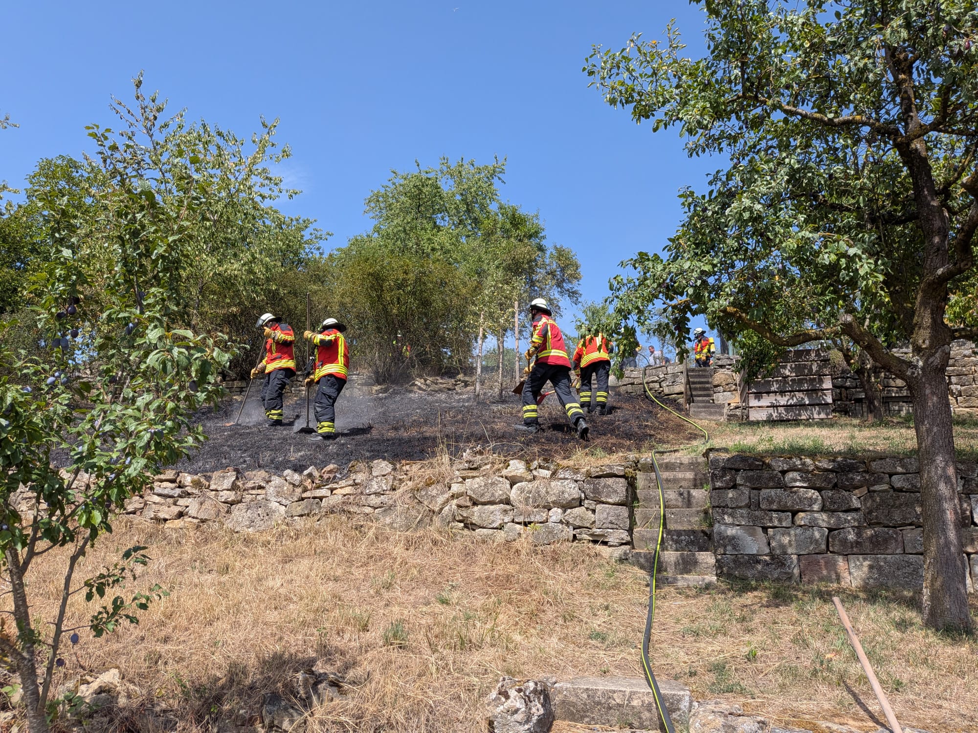 09.08.2026 – B2 Feuer/Rauch Wiese